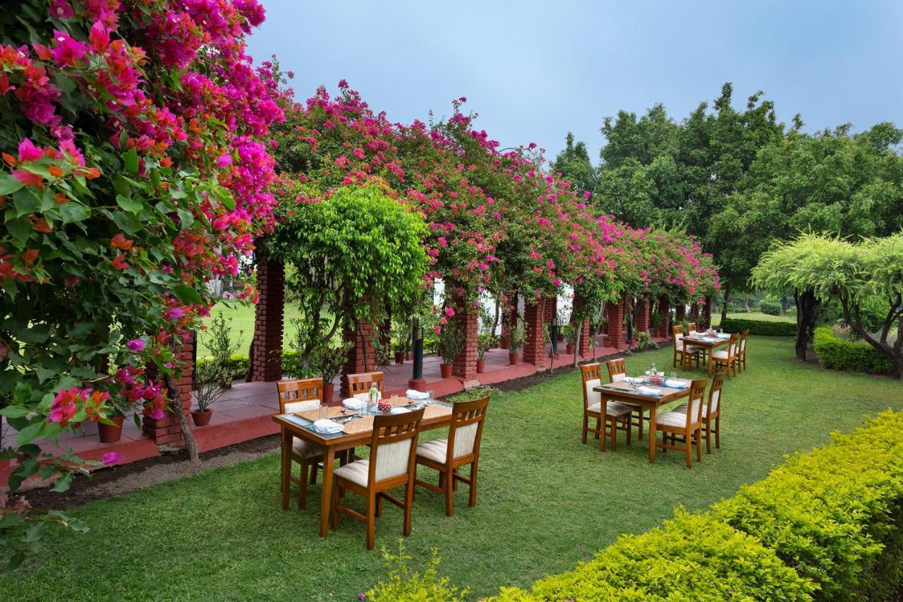 Naturoville Wellness Resort Rishikesh - Surrounded By Nature, Rooted In Wellness Doiwāla Eksteriør bilde